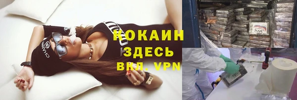дурь Михайлов