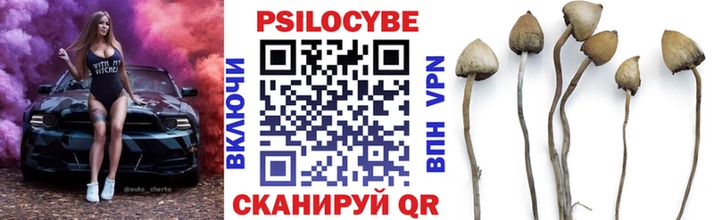 Купить  Лениногорск  Галлюциногенные грибы Magic Shrooms 